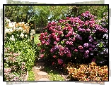 Park, Kolorowe, Kwiaty, Drzewa, Ścieżka 

