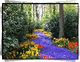 Park, Kwiaty