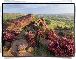 Wysokie, Skały, Wrzosy, Pola, Łąki, Drzewa, Park Narodowy Peak District, Anglia