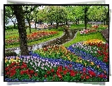 Park, Drzewa, Rzeczka, Tulipany