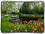 Park, Keukenhof, Staw, Tulipany