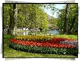 Park, Rzeczka, Kwitnące, Tulipany, Spacerowicze