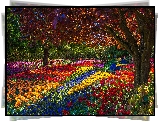 Park, Wiosna, Tulipany, Drzewa