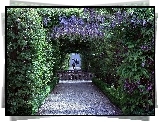 Park, Kwitnąca, Wisteria, Posąg