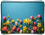 Kwiat, Tulipan, Narcyz, Pisanki, Niebieskie, Tło, Wielkanoc