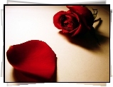 Płatek, Róża
