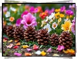 Kolorowe, Kwiaty, Szyszki, Płatki