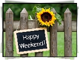 Płot, Słonecznik, Łąka, Happy Weekend