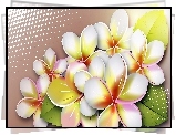 Plumeria, Art