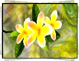 Kwiaty, Plumeria, Grafika