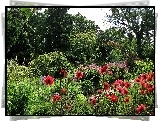 Poczdam, Park