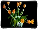 Pomarańczowe, Tulipany, Wazon, Czarne, Tło