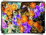 Pomarańczowe, Fioletowe, Kwiaty, Fractalius