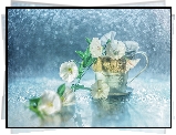Powój, Kwiaty, Filiżanka, Bokeh