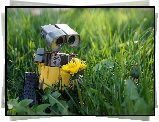 Robot, Fotografujący, Łąka, Kwiaty, Trawa