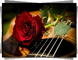 Czerwona, Róża, Gitara