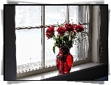 Czerwone, Róże, Okno