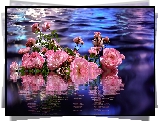 Róże, Kwiaty, Woda, Odbicie, Grafika 2D