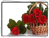 Kwiaty, Róże, Koszyk