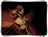 Suche, Róże, Gitara