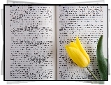 Rozłożona, Książka, Tekst, Żółty, Tulipan