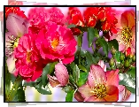 Różnobarwne, Kwiaty, Róże, Grafika