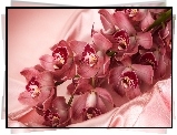 Atłas, Różowe, Orchidee