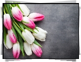 Białe, Różowe, Tulipany