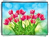 Biało, Różowe, Tulipany
