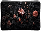Kwiaty, Różowe, Czarne, Liście, Grafika