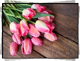 Różowe, Tulipany