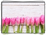 Różowe, Kwiaty, Tulipany, Deski