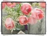 Bukiet, Rozowych, Tulipanow