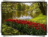 Tulipany, Rzeka, Park, Kaukenhof, W, Lisse, Wiosna, Holandia
