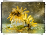 Słoneczniczki szorstkie, Kwiaty, Wazonik, Bokeh