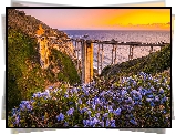 Stany Zjednoczone, Kalifornia, Morze, Most Bixby Creek Bridge, Wybrzeże, Region Big Sur, Zachód słońca, Kwiaty, Łąka