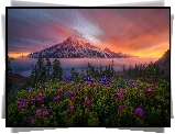 Stany Zjednoczone, Stan Waszyngton, Park Narodowy Mount Rainier, Stratowulkan Mount Rainier, Góry, Mgła, Kwiaty, Drzewa, Wschód słońca