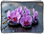 Kwiaty, Storczyki, Fioletowe, Kamienie, AI