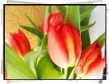 Tulipany