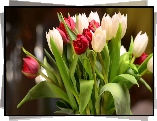 Tulipany
