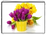 Tulipany