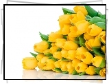 Tulipany