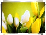 Tulipany