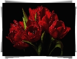 Tulipany