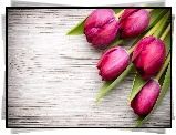 Bordowe, Tulipany, Deski