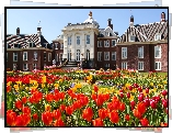 Tulipany, Budynki
