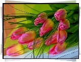 Tulipany, Bukiet