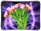 Tulipany, Bukiet