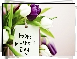 Tulipany, Dzień Matki