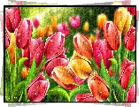 Tulipany, Kwiaty, Grafika